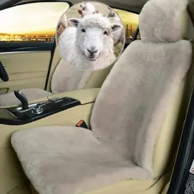 Cnzdbpnc-2 Altlue Real Genuine Sheepskin Seat Covers For Cars Suv Trucks Van Rv - Fr
