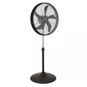 Blue Blower Professional 313106494407 Adjustable-height 20 Inch Oscillating Pedestal Fan
