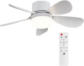 Fan011-42 Branded Socket Breeze Fan Light With Remote Control Portable Small White