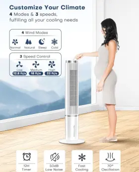 Jdac90r Coolech Air Cooler #3