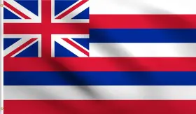 100d Dmse Wholesale 705353054471 Hawaii State Hawaiian Ka Hae Hawai I Flag 2x3 Ft Foot 100% Polyester F