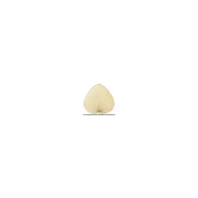 Pap1gr Fanimation Fan/blade/propeller Accessories
