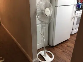 He-168rc Home Essentials 16 Inch Oscillating Pedestal Fan With 3 Speeds - White