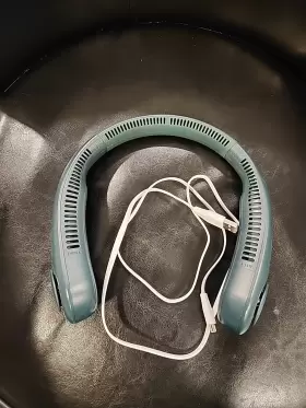 Fa14 Jisulife Neck Fan