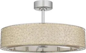 Cf-1001 Lighting Breezymeadow 18.5 Inch Height Brushed Steel Metal Fan