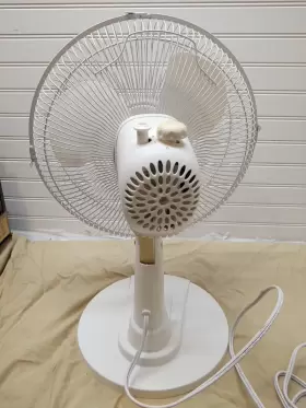 Ft30-13p Pelonis 12 Inch 3-speed Oscillating Table Desk Fan Model# White Tested #3