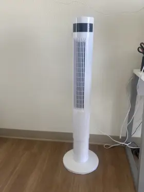 R.w.flame 619793707029 Tower Fan With Remote Control