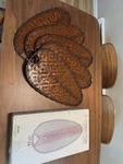 Fanimation ISD4A Antique 22"W Oval Bamboo Blades For 52" Ceiling Fans Set Of. Fixed Price $175.00.