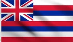 Dmse State Hawaiian Ka Hae Flag 2X3 Ft Foot 100% Polyester 100D. Fixed Price $15.11.