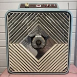 Vintage Lakewood (penncrest) Thermo Fan 1960S. Fixed Price $125.00.