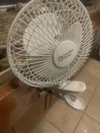 Comfort Zone CZ6C 6.9 Inch Clip-on Fan, White Interek Video. Fixed Price $21.99.