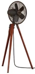 Fanimation Arden 44" Tall 5 Blade Oscillating Floor Standing - Bronze. Fixed Price $479.98.