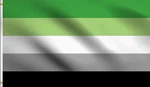 Dmse Pride Series Flag 3X5 Ft Foot 100% Polyester 100D Uv Resistant (aro.... Fixed Price $17.82.