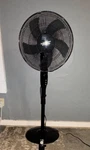 Better Homes & Gardens Black Pedestal Fan Oscillating Remote Adjustable Height. Fixed Price $25.20.