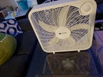 Utilitech 20-IN 3-SPEED Indoor Box Fan. Fixed Price $40.00.