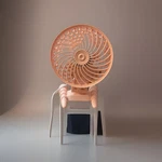 Aaolin Pink Small Desk Fan Usb Powered Portable. Fixed Price $16.00.