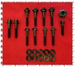 Ducati Panigale 1299 Black Titanium Cylinder Head Cam / Cover Bolts. Fixed Price $138.00.