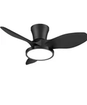 Ocioc F1 Remote Control Quiet Ceiling Fan With Led Light 32 Inch Black. Fixed Price $81.00.