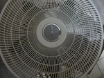 Lasko White Pedestal Fan Oscillation Adjustable Height Electric Push Button. Fixed Price $40.00.