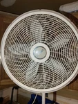 Lasko White Pedestal Electric Fan Adjustable Height 5-BLADE Plastic Indoor Floor. Fixed Price $25.00.
