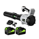 Sihuird Leaf Blower CORDLESS,2 X 21V 6.0AH Battery And Charger, With 680CFM 1.... Fixed Price $140.05.
